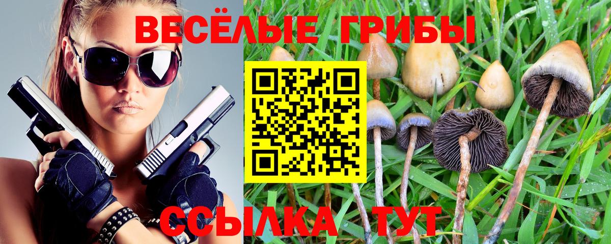 Псилоцибиновые грибы Psilocybe  Вход с VPN  где продают наркотики  Псилоцибиновые грибы прущие грибы  Карачаевск 